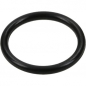 Preview: Arag O-ring G10031 for brass nozzle cap