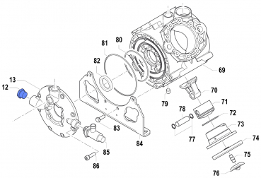 Plug 3200001900 for Comet Pump APS 145