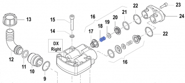 Valve Spring 1802017700 for Comet Pumps APS 31-41
