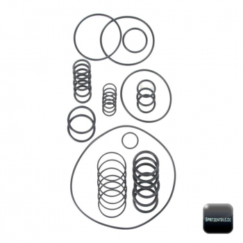 Annovi Reverberi O-Ring Kit 1984