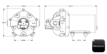 Preview: Diaphragm pump NorthStar NSQ Series 3062
