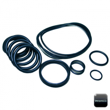Annovi Reverberi O-Ring Kit 2462