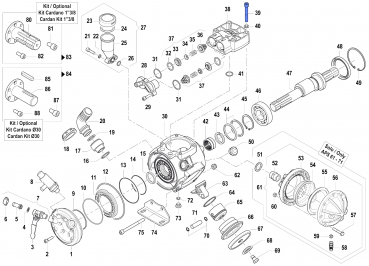 Screw 3609007800 for Comet Pumps APS 51-61-71