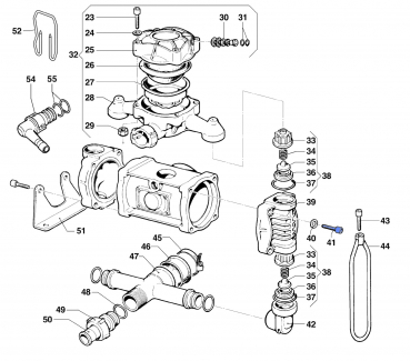 Screw for Comet Pumpe BP 60 K