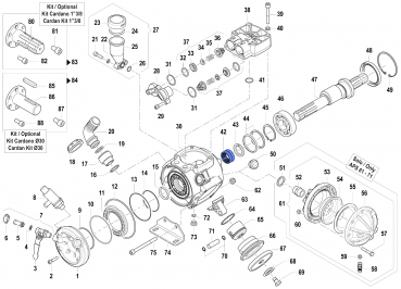 Roller Bearing 0437002200 for Comet Pumps APS 51-61-71
