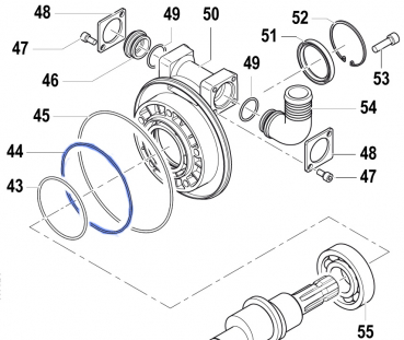 O-Ring 1210035300 for Comet Pumps APS 101-121