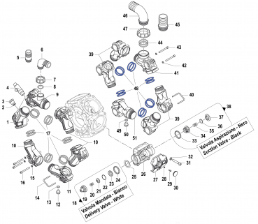 O-Ring for Comet Pump BPS 300