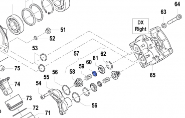Suction Delivery Valve 3604002300 for Comet APS Pump 96