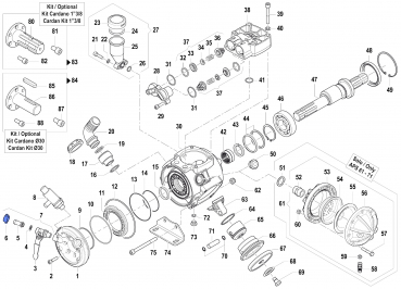 Wing Nut 1200003800 for Comet Pumps APS 51-61-71