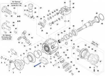 Screw 3609004900 for Comet Pumps APS 51-61-71