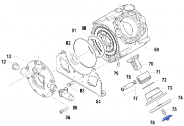 Membran Disc 0602001100 for Comet Pump APS 145