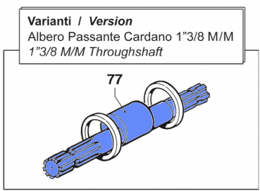 Throughshaft 0001041200 for Comet BP 151-171 K