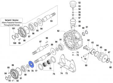 Connecting Rod washer for Comet BPS 300