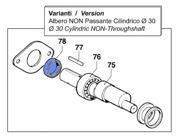 78 Oil seal 00190016 for Comet pump BP 105
