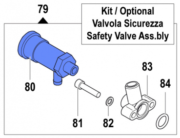 Safety Valve 1219004600 for Comet Pumps APS 31- 41