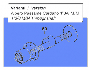 Throughshaft 0001009200 for Comet Pump BP 241-281 K