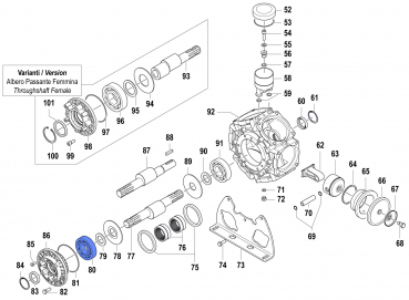 Ball Bearing for Comet BPS 300
