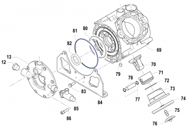 O-Ring 1210070200 for Comet Pump APS 145