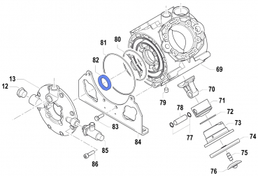 Oil Seal 0019006800 for Comet Pump APS 145