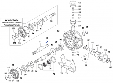 Key for Comet Pump BPS 300