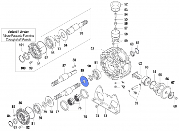 Connecting Rod washer for Comet BPS 300