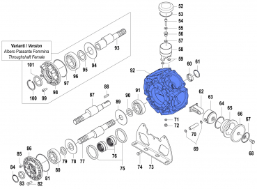 Pump Crankcase for Comet BPS 300