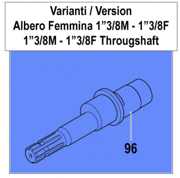Throughshaft 0001041000 for Comet Pump APS 145