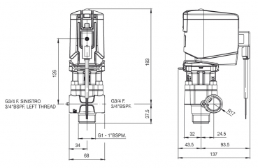 Preview: Braglia pressure regulator M202 electric