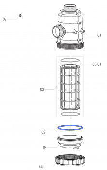 Arag O-Ring G11052 for Filter Series 319