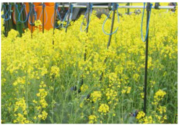 Preview: Lechler Dropleg application example