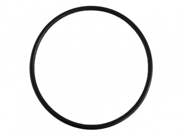 Rau O-Ring RG00007282