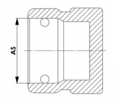 Preview: Rau blind cap AS20