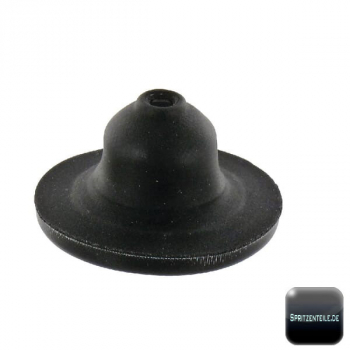 Rau Rolling Diaphragm for solenoid valve