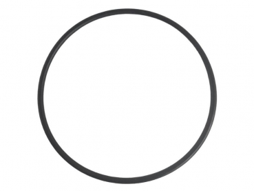 Rau O-Ring RG00026014