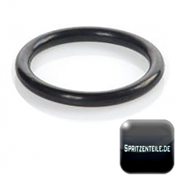 Rau O-ring RG00058723 KVERNELAND