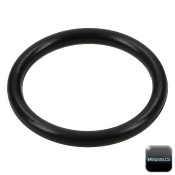 Arag O-Ring for Filter Insert series 322