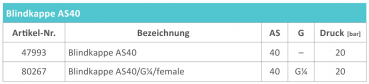 Preview: Rau blind cap AS40 with manometer connection