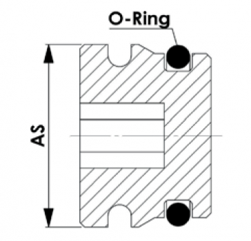 Preview: Rau blind plug AS20
