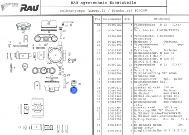 Preview: Rau Valve Sealing Ring RG00002704