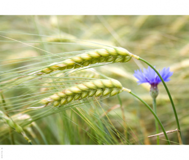 Nozzle chart for free download