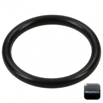 Rau O-Ring RG00037624