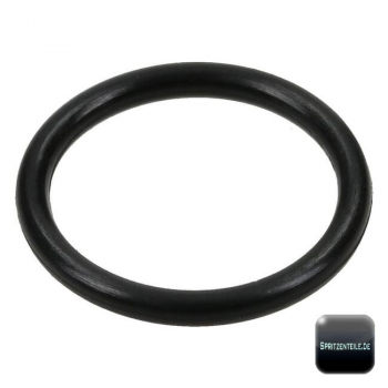 Rau O-Ring RG00032741