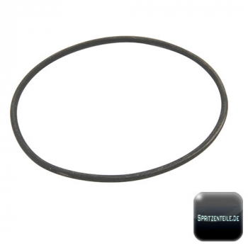 RAU O-Rring for SPRIDOMAT