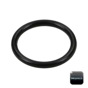 Rau O-Ring RG00031009