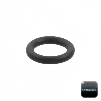 Rau O-Ring RG00002796