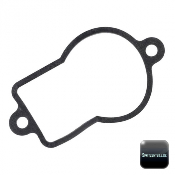 Rau Flat Gasket RG00011889