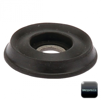 RAU valve plate RG00032944 complete for EV