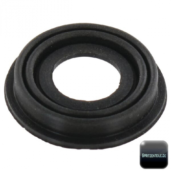 Rau magnetic diaphragm EV RG00047229