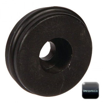 Rau retaining washer ERM RG00047498