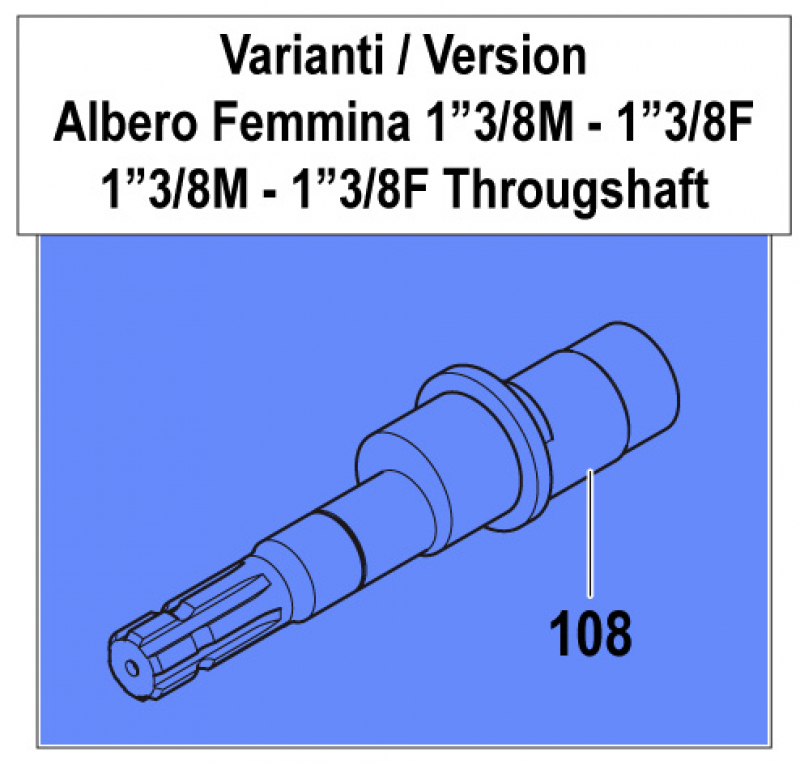 Throughshaft 0001028200 for Comet Pump APS 121